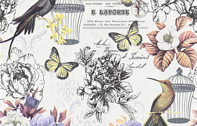 Брянские Обои Колибри гфр 1 С66БР-ГП